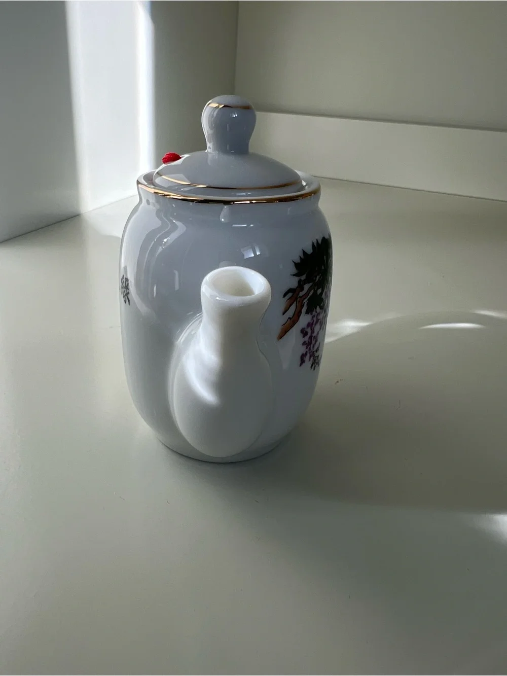 White Porcelain Teapot with Bird & Floral Motif